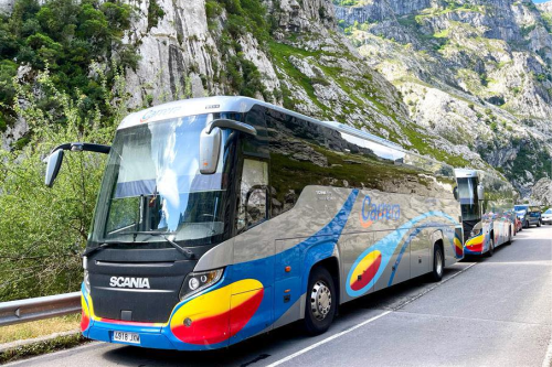 Autocares Carrera - Alquiler de autocares y autobuses en Cordoba - Bus Alquiler